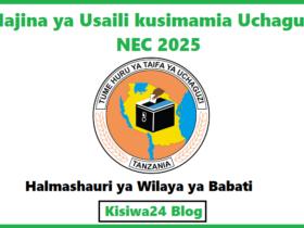 Majina ya Usaili kusimamia Uchaguzi NEC 2025 - Halmashauri ya Wilaya ya Babati