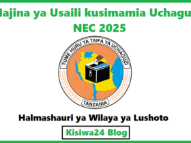Majina ya Usaili kusimamia Uchaguzi NEC 2025 - Halmashauri ya Wilaya ya Lushoto