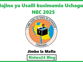 Majina ya Usaili kusimamia Uchaguzi NEC 2025 - Jimbo la Mafia