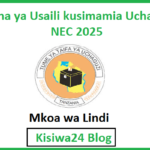 Majina ya Usaili kusimamia Uchaguzi NEC 2025 - Mkoa wa Lindi
