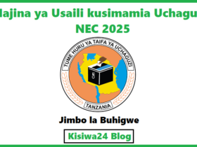 Majina ya Usaili kusimamia Uchaguzi NEC 2025 – Jimbo la Buhigwe