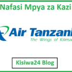 NAFASI 172 za Kazi Kutoka Air Tanzania