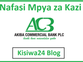 NAFASI za Kazi Kutoka Akiba Commercial Bank Tanzania
