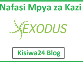 NAFASI za Kazi Kutoka Exodus Tanzania