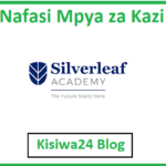 NAFASI za Kazi Kutoka Silverleaf Academy