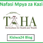 NAFASI za Kazi Kutoka TAHA Tanzania