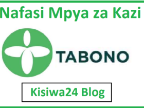 NAFASI za Kazi Kutoka Tabono Consult Limited
