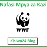 NAFASI za Kazi Kutoka WWF Tanzania