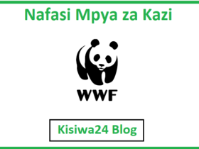 NAFASI za Kazi Kutoka WWF Tanzania