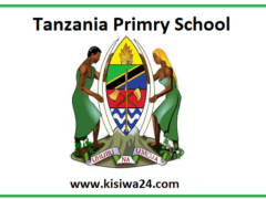 A. H. Mwinyi Primary School – P0206059 (Full Details)