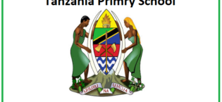 A. H. Mwinyi Primary School – P0206059 (Full Details)