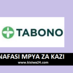 NAFASI Za Kazi Tabono Consult Limited