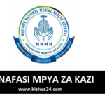 Nafasi za Kazi Hospitali ya Taifa ya Mirembe