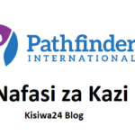 NAFASI Za Kazi Pathfinder Tanzania