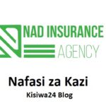 NAFASI za Kazi NAD Insurance Agency