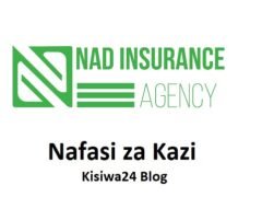 NAFASI za Kazi NAD Insurance Agency